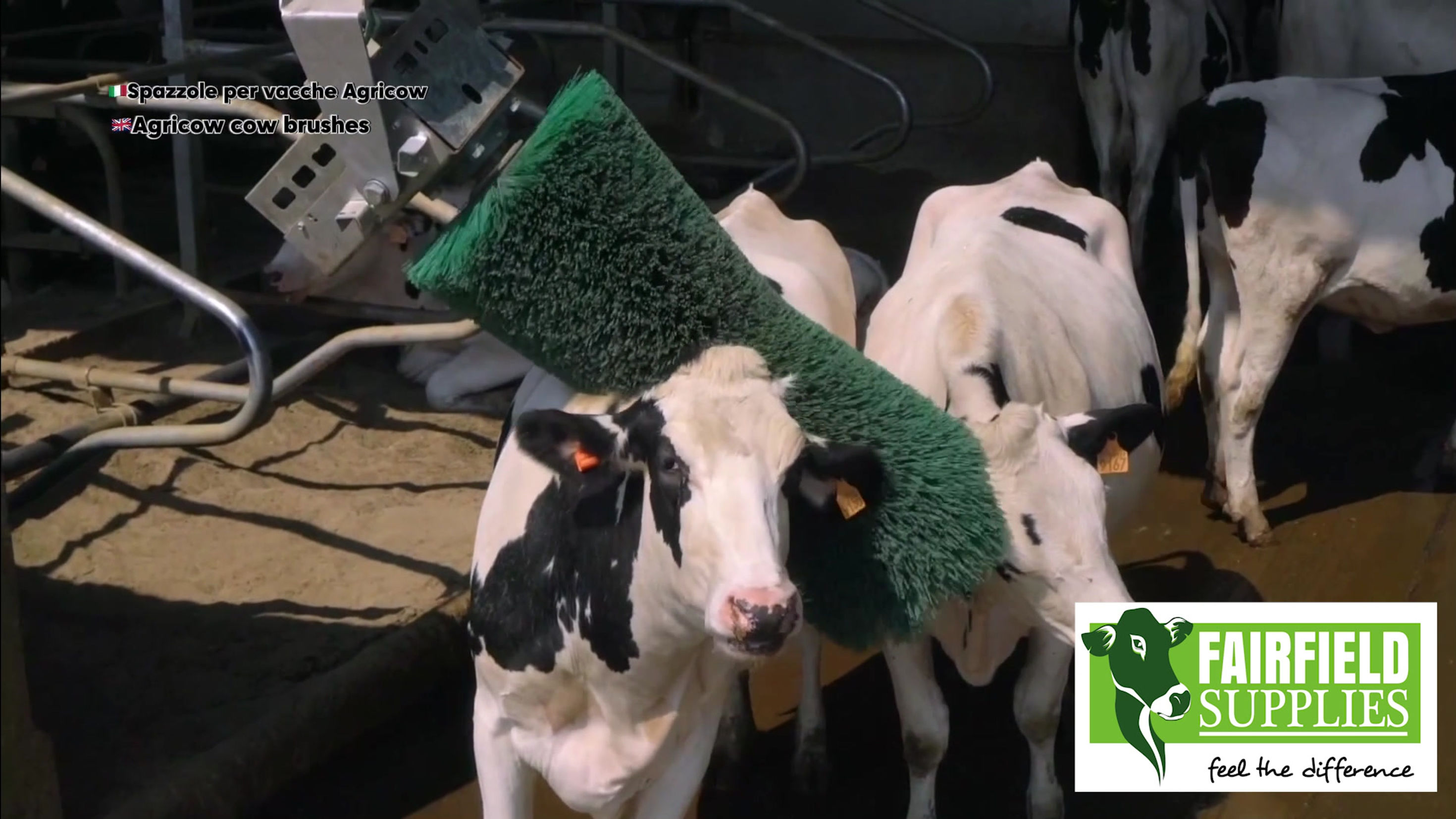 Rotating Cow Brushes